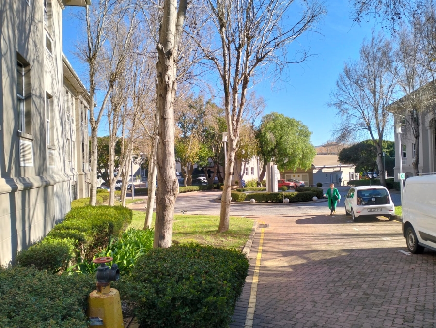 To Let commercial Property for Rent in Rosenpark Western Cape